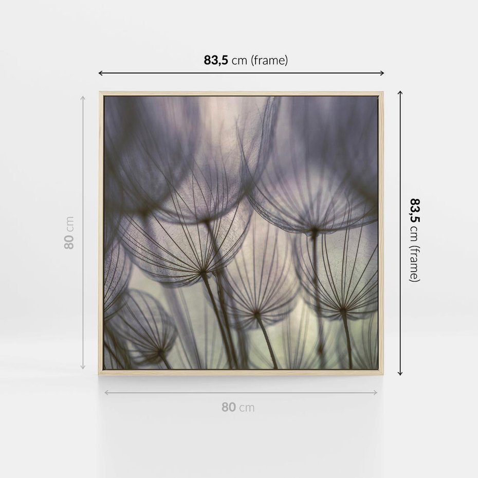 Obraz w ramie 80x80 - Makro dmuchawiec - piękno drobnych detali - dmuchawce, makro - rama drewno