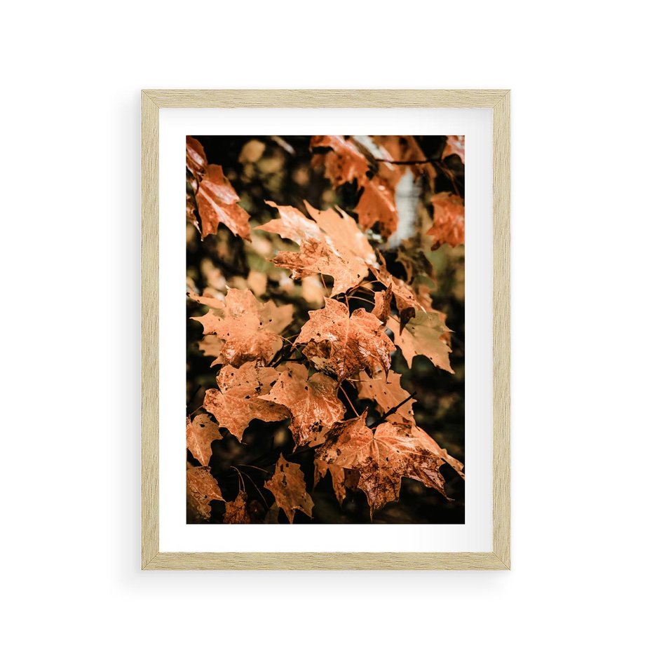 Plakat w ramie 30x40 - Ciepło Jesieni - jesienne pomarańczowe liśćie, jesień - rama drewno