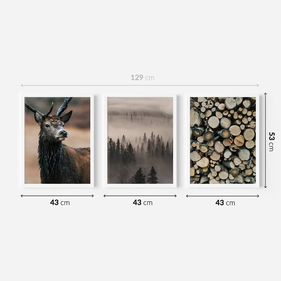 Zestaw obrazy w ramie 40x50 galeria - Jeleń, las, drzewa, boho, skandynawski - rama biała