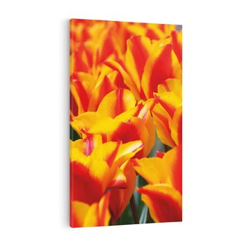 Obraz na płótnie 50x70 - Kwiatowa natura - kwiat, kwiaty