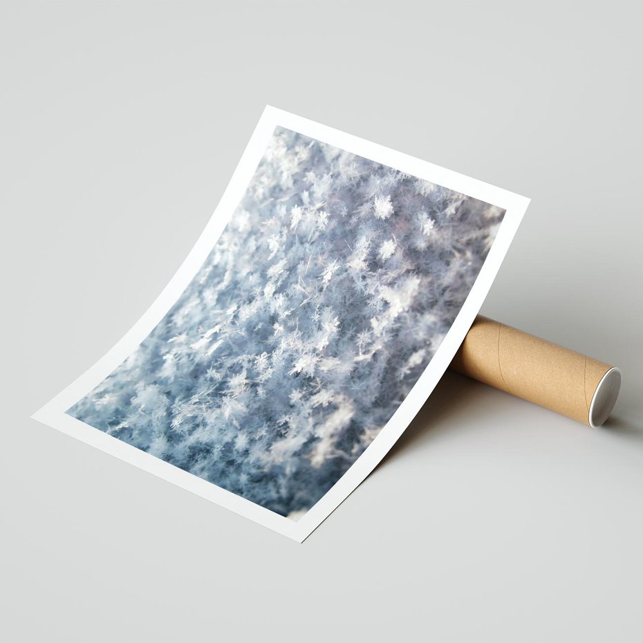 Plakat bez ramy 30x40 - Magia Śnieżnych Kryształków - śnieg, szron