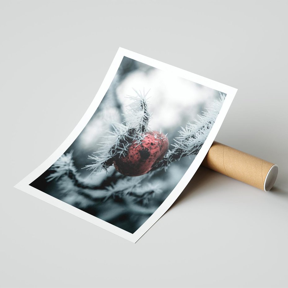 Plakat bez ramy 30x40 - Chwila Zimowego Uroku - zima, ośnieżona gałązka