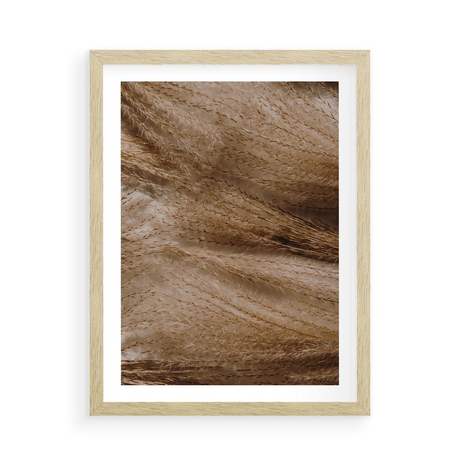 Plakat w ramie 50x70 - Pampasowy Brąz - suche trawy, trawa pampasowa - rama drewno