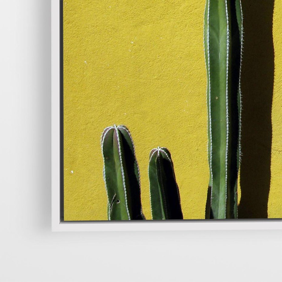 Obraz w ramie 100x70 - Refleksje w roślinnym odbiciu - zielone kaktusy na tle żółtej ściany, soczyste kolory - rama biała