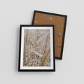 Plakat w ramie 30x40 - Beżowa Trawa - suche trawy, zbliżenie - rama czarna