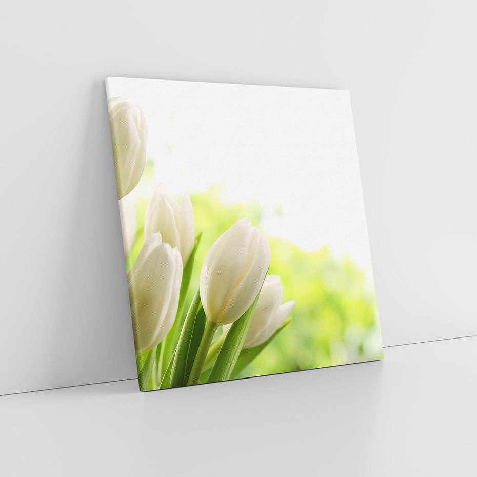 Obraz na płótnie 40x40 - delikatność kwiatów - tulipany, kwiat