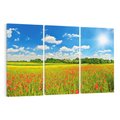 Obraz na płótnie 120x80 - Malownicze maki na łące - maki, łąka