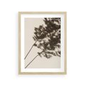 Plakat w ramie 30x40 - Tajemniczy Cień Traw - cień traw, na ścianie - rama drewno