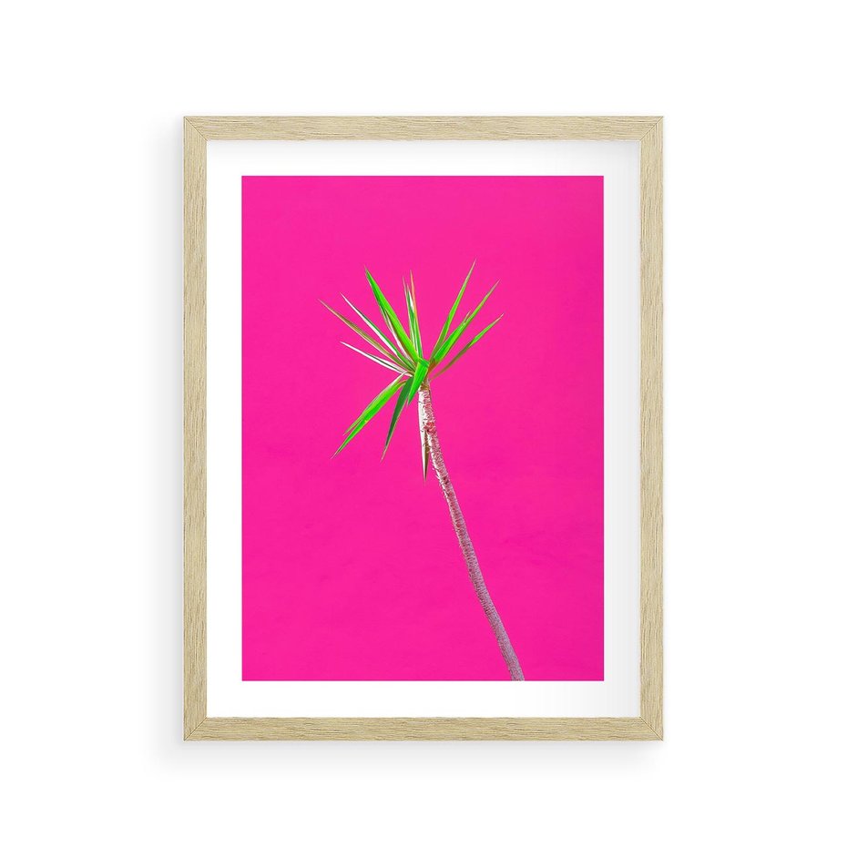 Plakat w ramie 30x40 - Retro Stylizacja - palma, liście - rama drewno