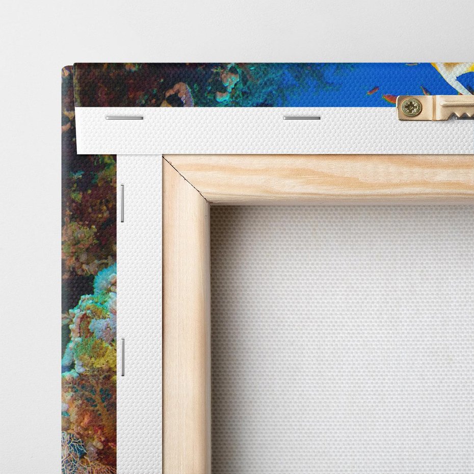 Obraz na płótnie 50x50 - Podwodne królestwo rafy koralowej - rafa, koralowa