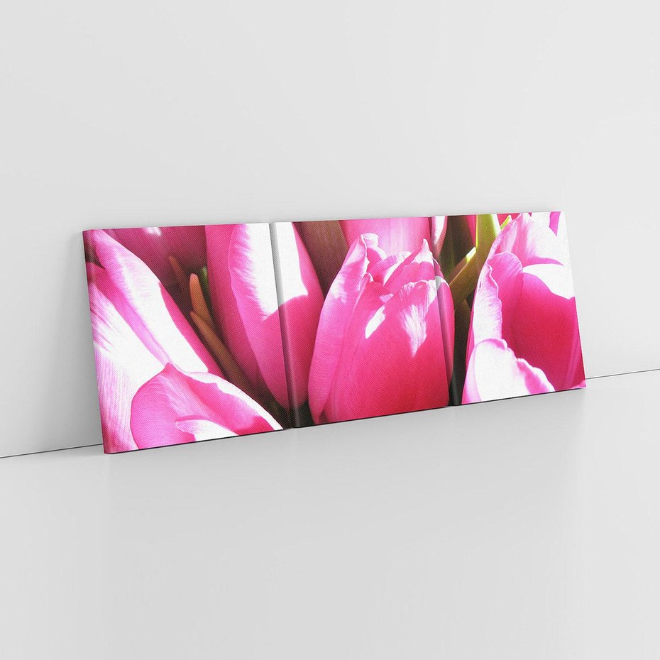 Obraz na płótnie 120x40 - Tulipany w pejzażu - tulipany, kwiaty