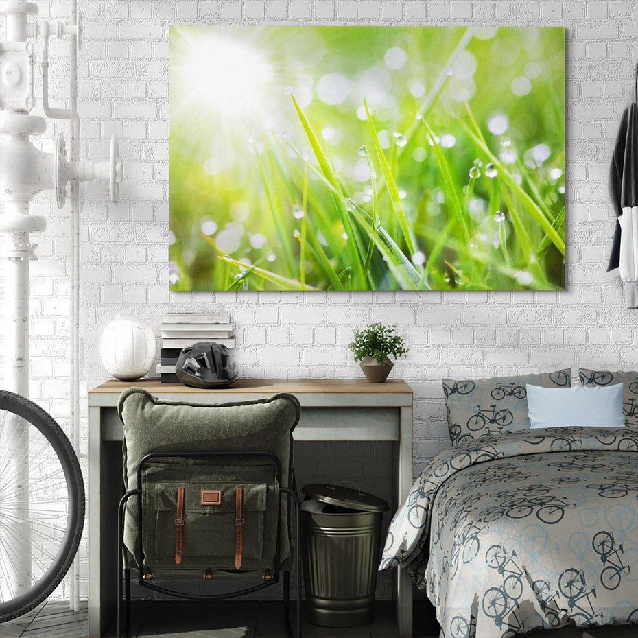 Obraz na płótnie 70x50 - Delikatna trawa pokryta rosą - trawa, rosa