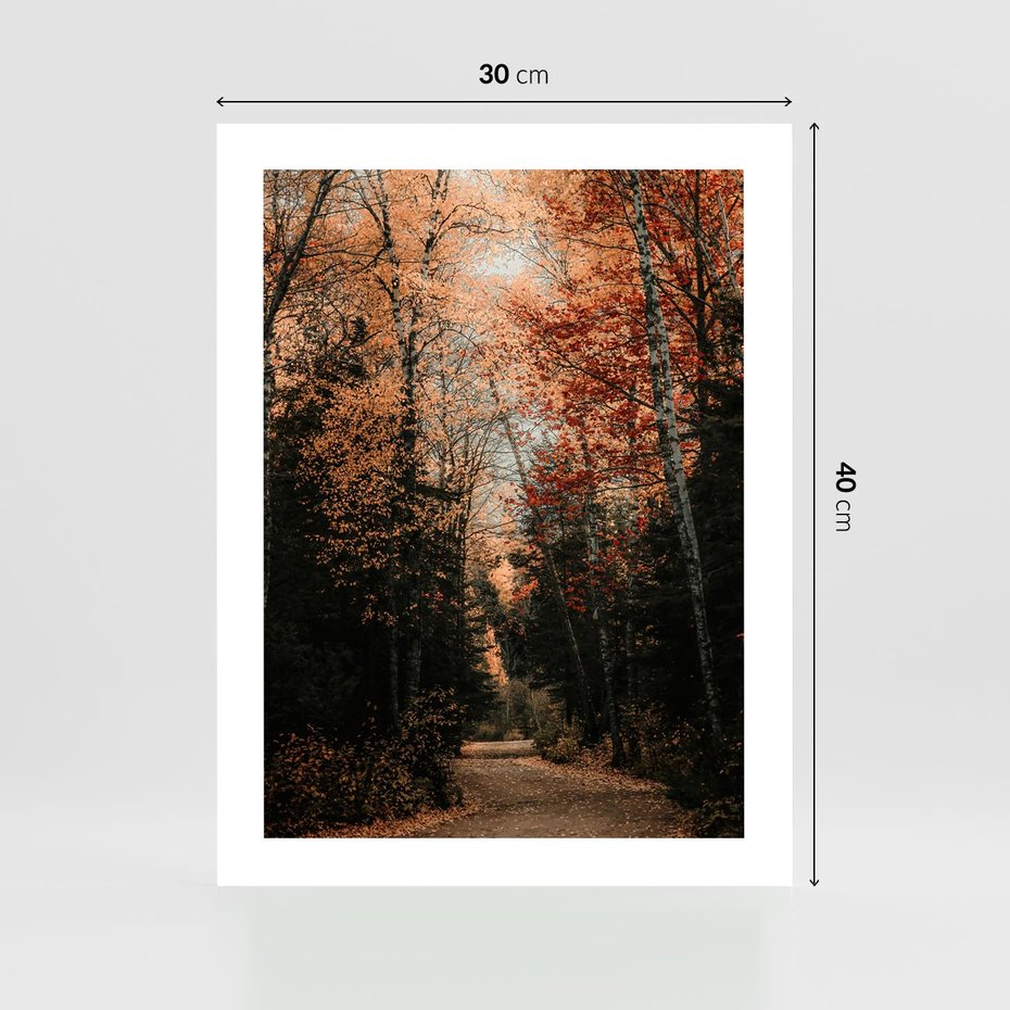 Plakat bez ramy 30x40 - Drzewa w Czerwonych Liściach - las, jesienny las