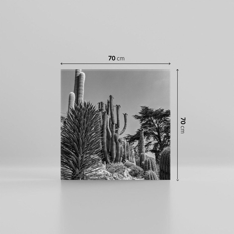 Obraz na płótnie 70x70 - Pustynny Klimat - czarno białe zdjecie, pustynia