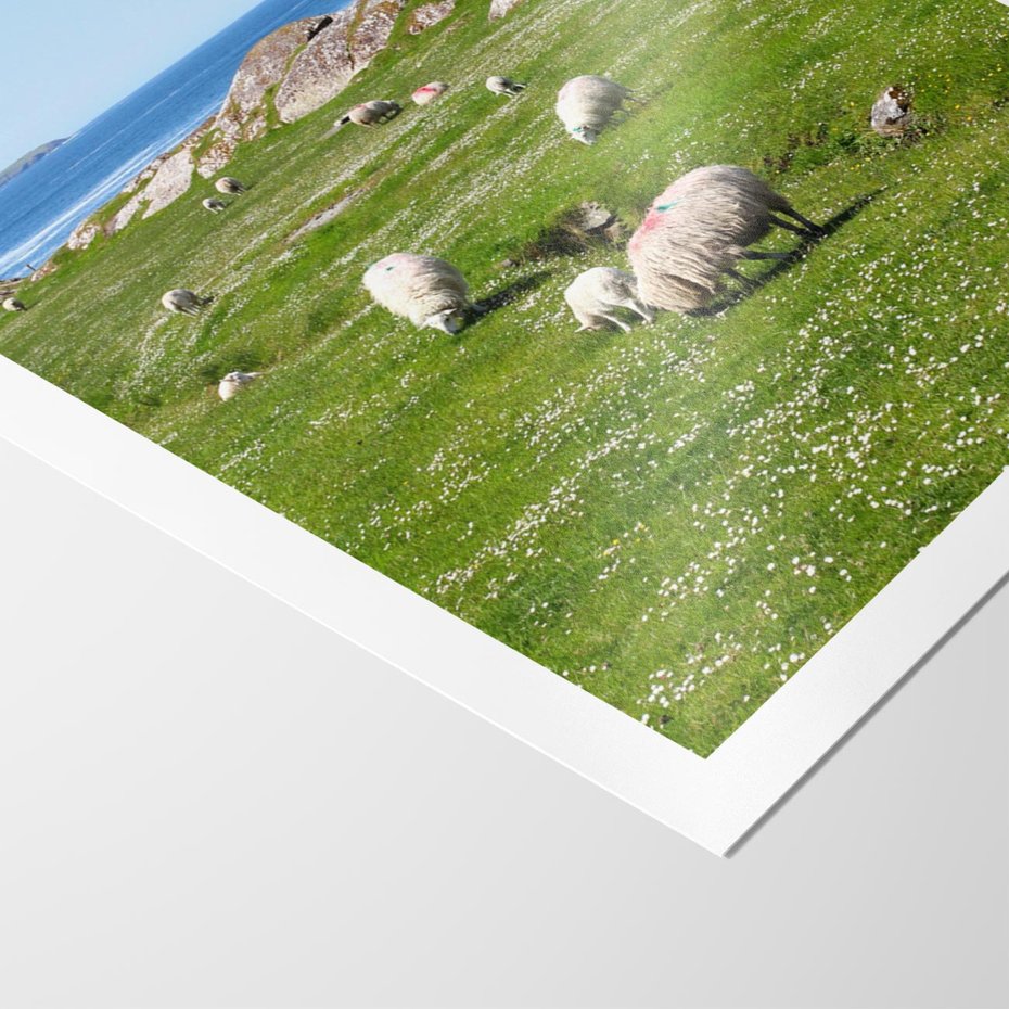 Plakat bez ramy 21x30 - Górskie Owce - góry, owce