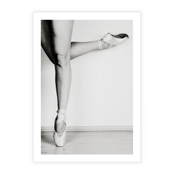 Plakat bez ramy 30x40 - Tańcząca Delikatność - artystyczne zdjęcie, odcienie szarości