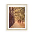 Plakat w ramie 40x50 - Wędrówka między drzewami - droga, drzewa - rama drewno