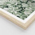 Plakat w ramie 30x40 - Liście w Jasnych Odcieniach Zielonego - liście, jasna zieleń fotografia - rama drewno