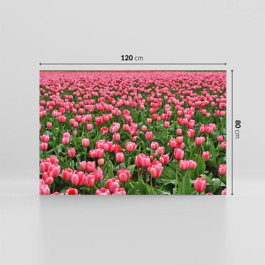 Obraz na płótnie 120x80 - Tulipanowe Elegancja - tulipany, kwiat