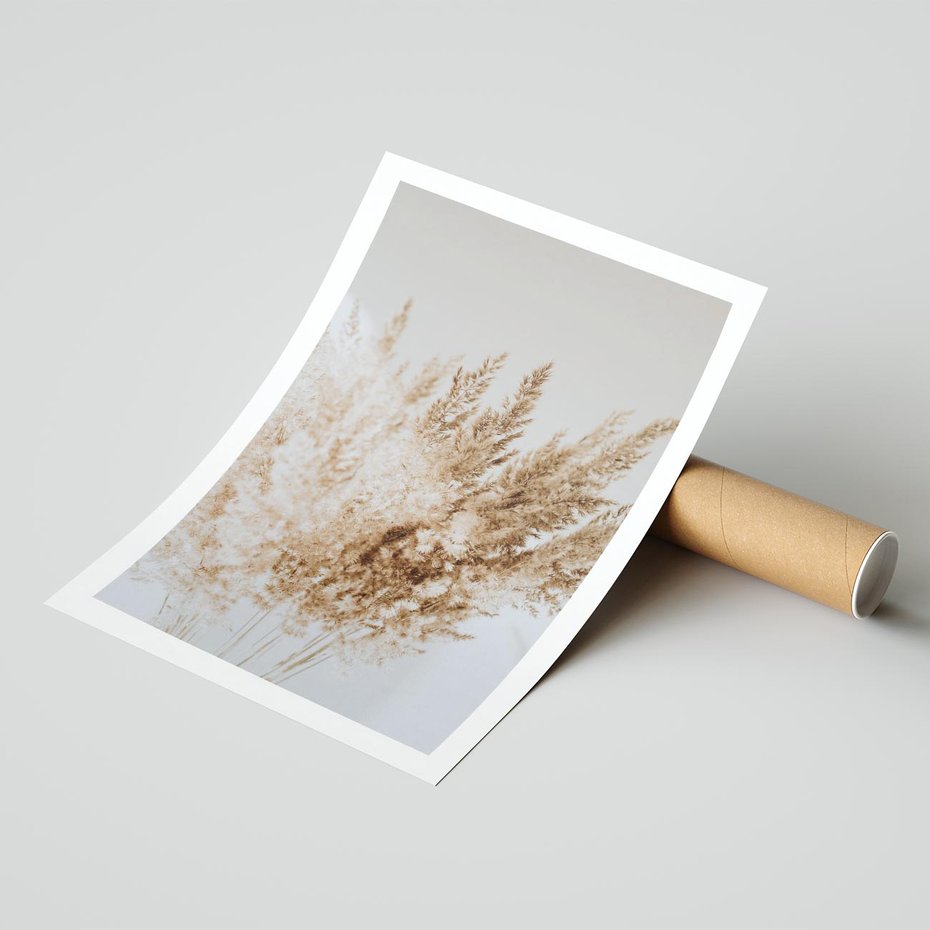 Plakat bez ramy 50x70 - Boho Urok Traw Pampasowych - suche trawy, pampas