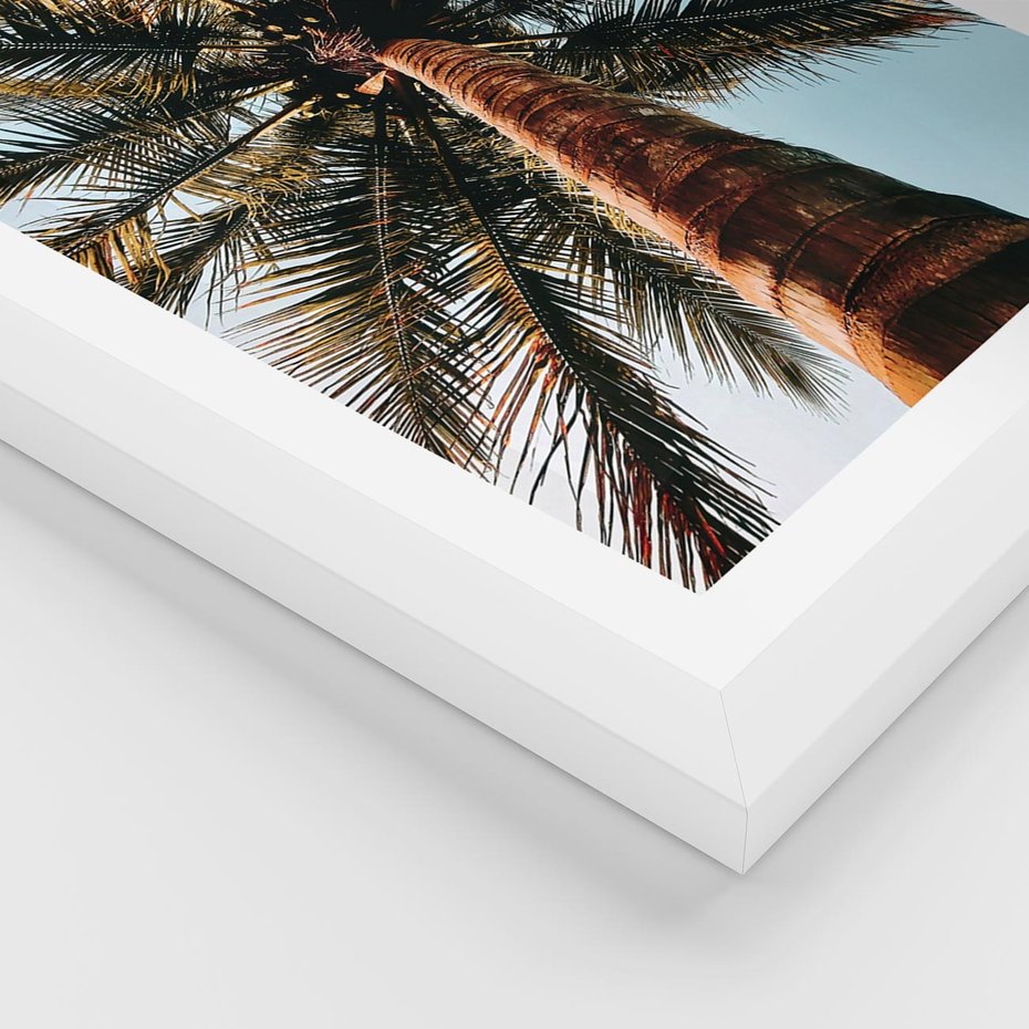 Plakat w ramie 50x70 - Rajskie Inspiracje: Palma na Niebie - palma, na tle nieba - rama biała