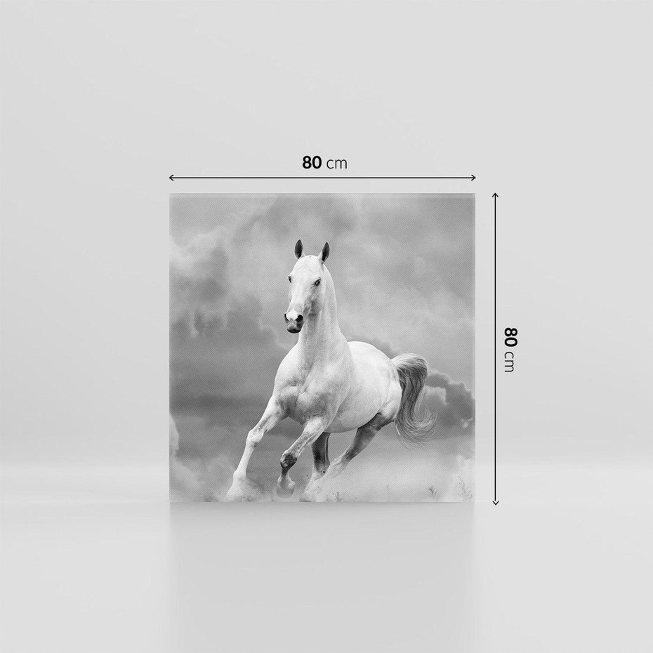 Obraz na płótnie 80x80 - Elegancja w Czarno-Białym - koń, biało