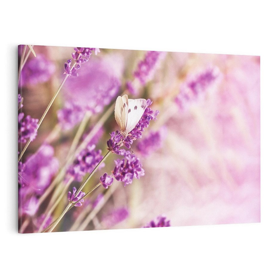 Obraz na płótnie 120x80 - Majestat lawendy: fioletowe pola - lawenda, fiolet