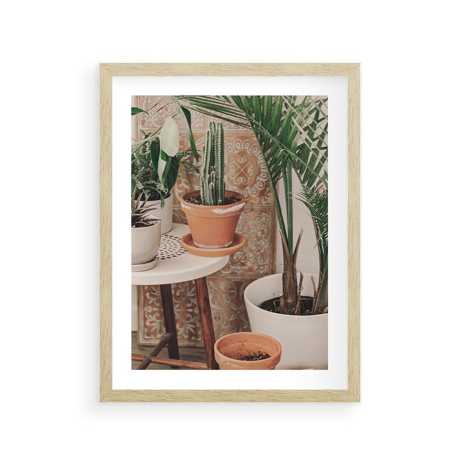 Plakat w ramie 30x40 - Boho Oaza: Kaktusy w Doniczkach - rośliny kaktusy w doniczkach, boho wnętrze - rama drewno