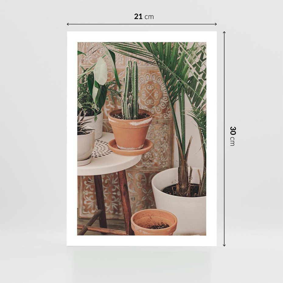 Plakat bez ramy 21x30 - Boho Oaza: Kaktusy w Doniczkach - rośliny kaktusy w doniczkach, boho wnętrze