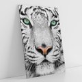 Obraz na płótnie 80x120 - Magia Białego Tygrysa - biały, tygrys