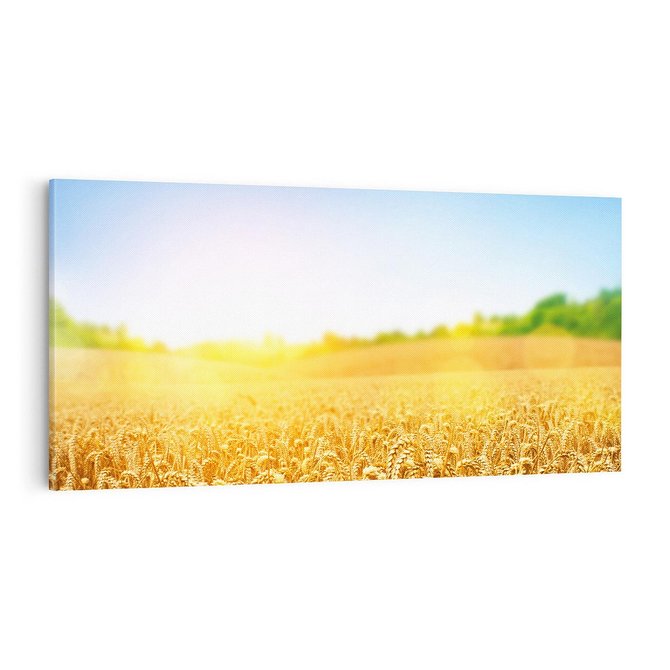 Obraz na płótnie 100x50 - Żyzne Pola - pole, pszenicy