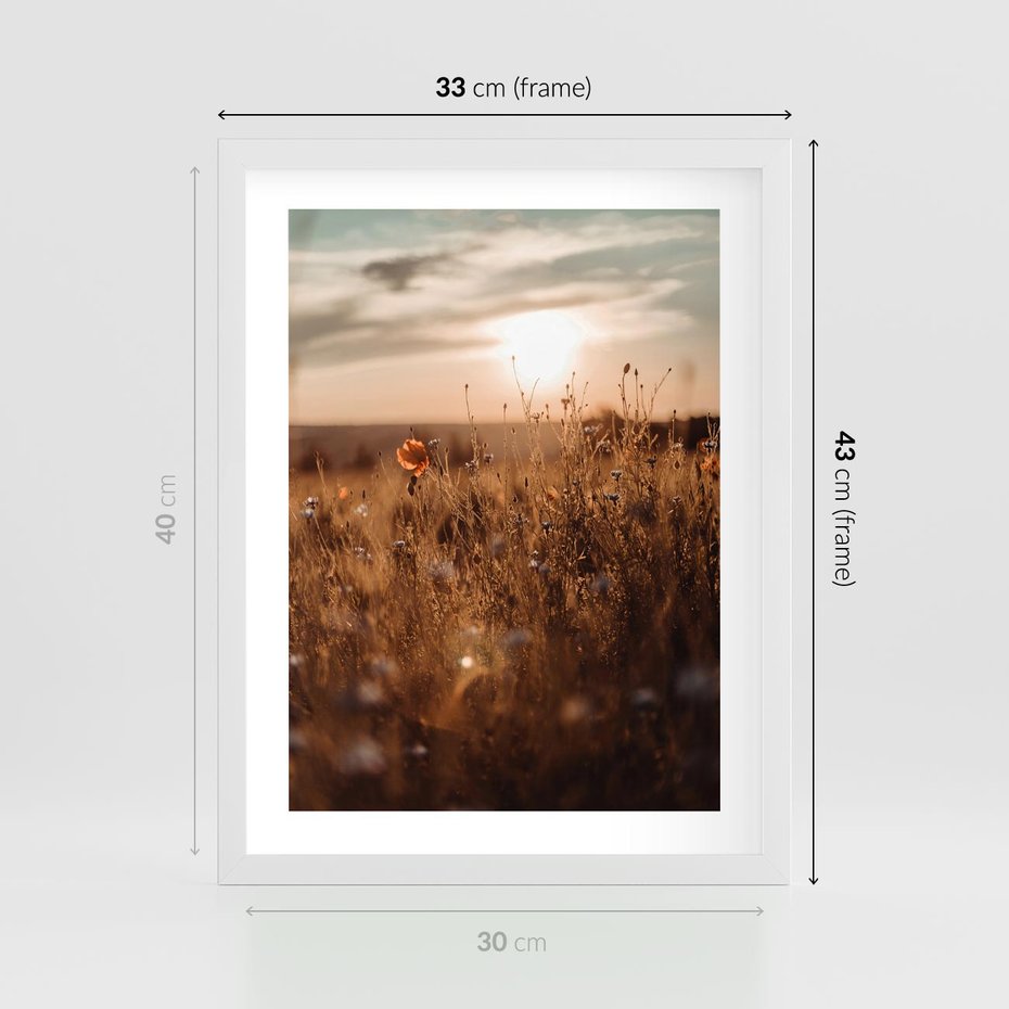 Plakat w ramie 30x40 - Zachwyt zachodem słońca na łące - zachód, słońca - rama biała