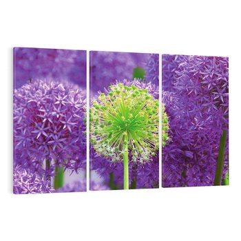 Obraz na płótnie 120x80 - Kwiatowy Raj - kwiat, kwiaty