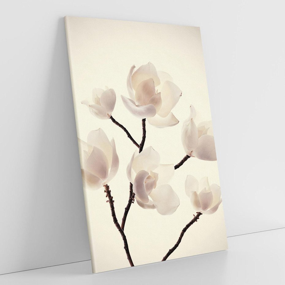 Obraz na płótnie 70x100 - Elegancja Natury - magnolia, białe