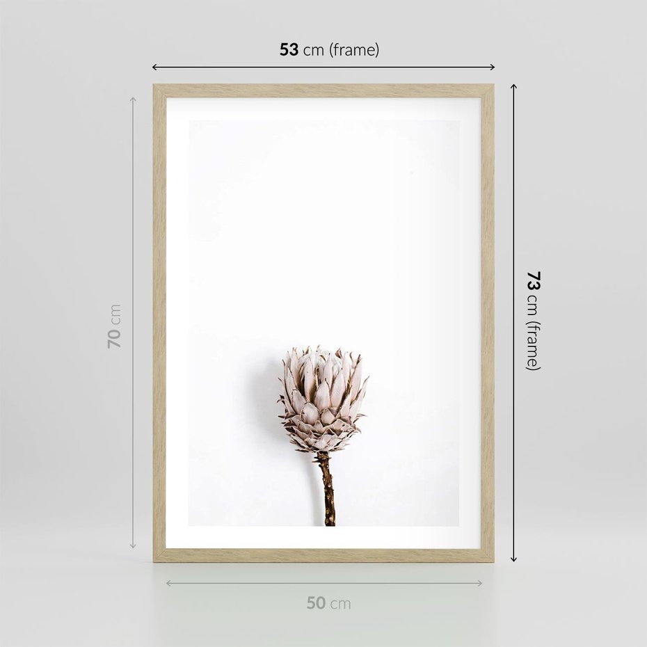 Plakat w ramie 50x70 - Suszona Roślina na Białym Tle - minimalizm, suszona roślina - rama drewno