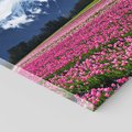 Obraz na płótnie 80x80 - Tulipany w malowniczym krajobrazie" - tulipany, krajobraz