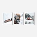 Zestaw obrazy w ramie 50x70 galeria - Zima, bizon, góry, śnieg - rama biała