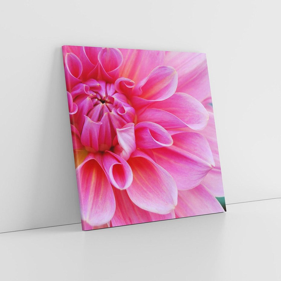 Obraz na płótnie 60x60 - Kwiatowy taniec różnorodność natury - kwiat, kwiaty