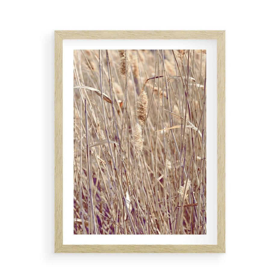 Plakat w ramie 50x70 - Suche Trawy w Wyjątkowym Stylu - suche trawy, boho styl - rama drewno