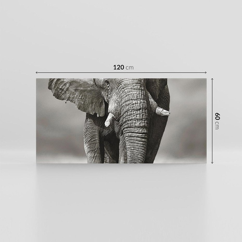 Obraz na płótnie 120x60 - Majestatyczny słoń Afryki - słoń, Afryka