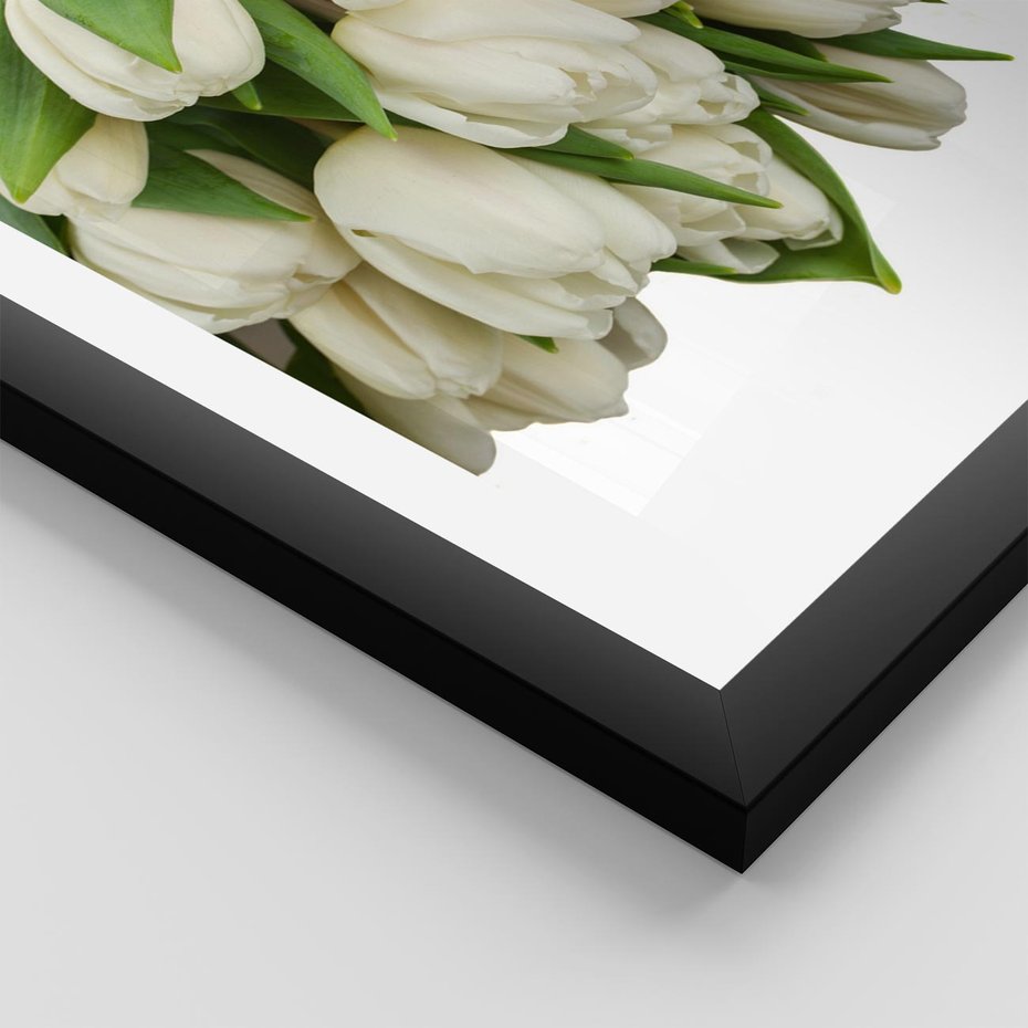 Plakat w ramie 40x50 - Białe tulipany w pełnym rozkwicie - białe, tulipany - rama czarna