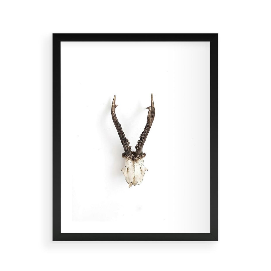 Plakat w ramie 40x50 - Minimalistyczne Poroże Jelenia - poroże jelenia na ścianie, minimalizm - rama czarna