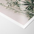 Plakat bez ramy 30x40 - Egzotyczna Kompozycja - liście, rośliny tropikalne na tle ściany
