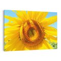 Obraz na płótnie 100x70 - Słoneczniki w naturalnym otoczeniu - słonecznik, natura