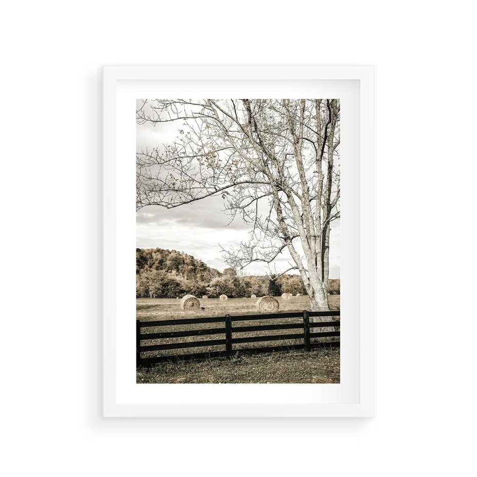 Plakat w ramie 30x40 - Drzewa i Snopki Siana - farma, drzewa - rama biała