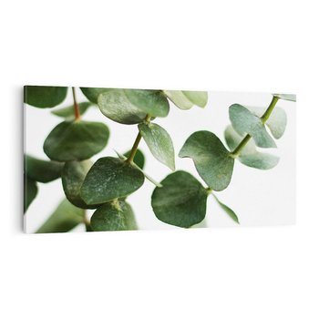 Obraz na płótnie 120x60 - Zielone eukaliptusy - eukaliptus, liście