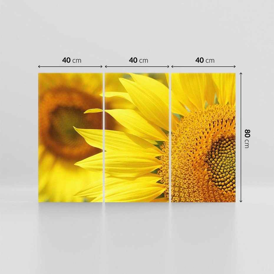 Obraz na płótnie 120x80 - Słoneczniki: Promień nadziei - słoneczniki, kwiaty