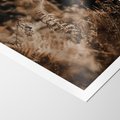 Plakat bez ramy 30x40 - Delikatne Detale - paprocie, brąz