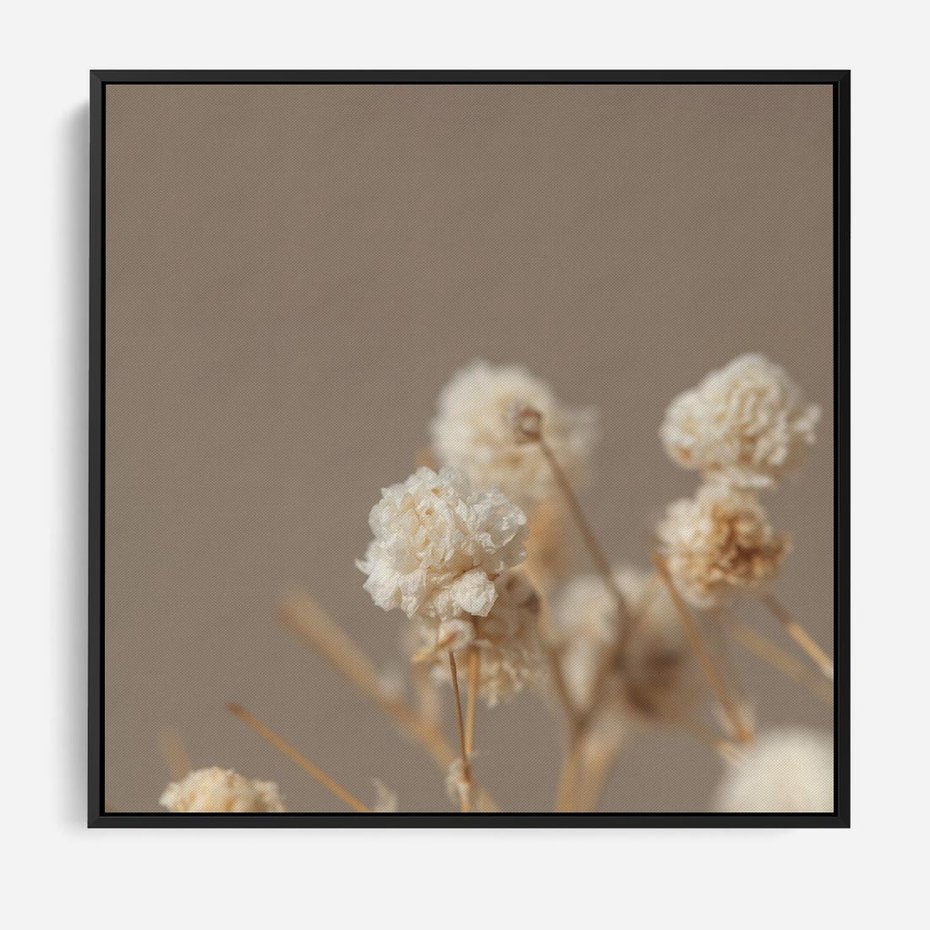 Obraz w ramie 50x50 - Przezroczyste piękno - gipsówka, suche - rama czarna