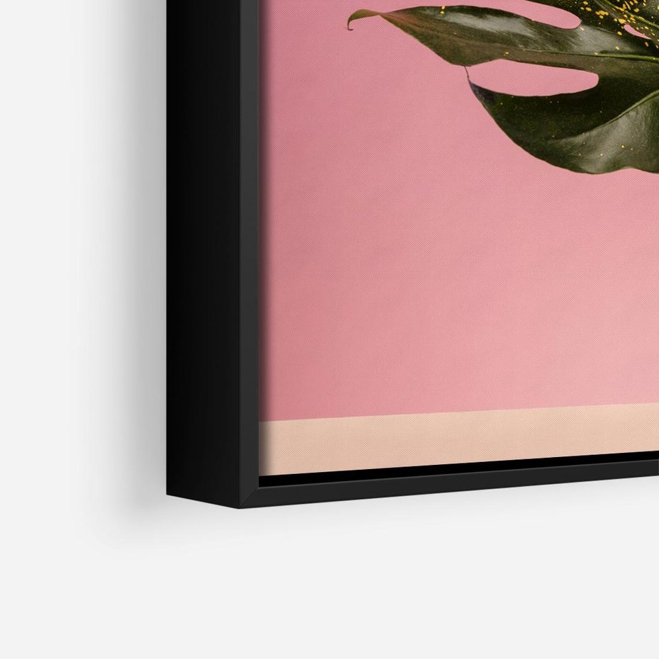 Obraz w ramie 50x50 - Majestatyczna monstera - monstera, liść - rama czarna